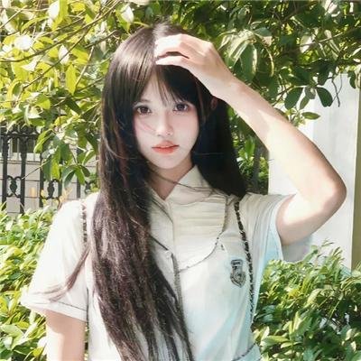猫咪寻熊记